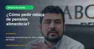 Como pedir rebaja de pension alimenticia en Talca